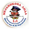 Значок для первоклассников "Совенок" (школа, класс, фамилия, имя), арт.32112